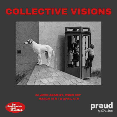 COLLECTIVE VISIONS